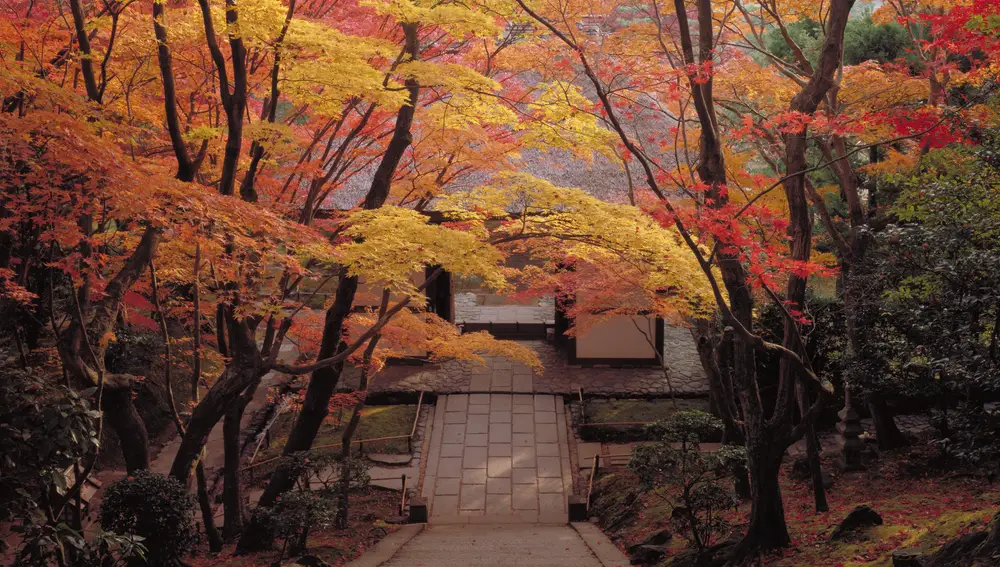 Templo de Jojakkoji