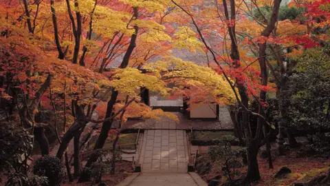 Templo de Jojakkoji La belleza roja del otoño en Japón