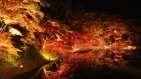 Castillo Hirosaki Castle La belleza roja del otoño en Japón
