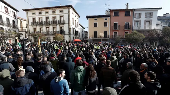 Manifestación que en Alsasua en contra de la plataforma 'España Ciudadana' Manifestación que en Alsasua en contra de la plataforma 'España Ciudadana'