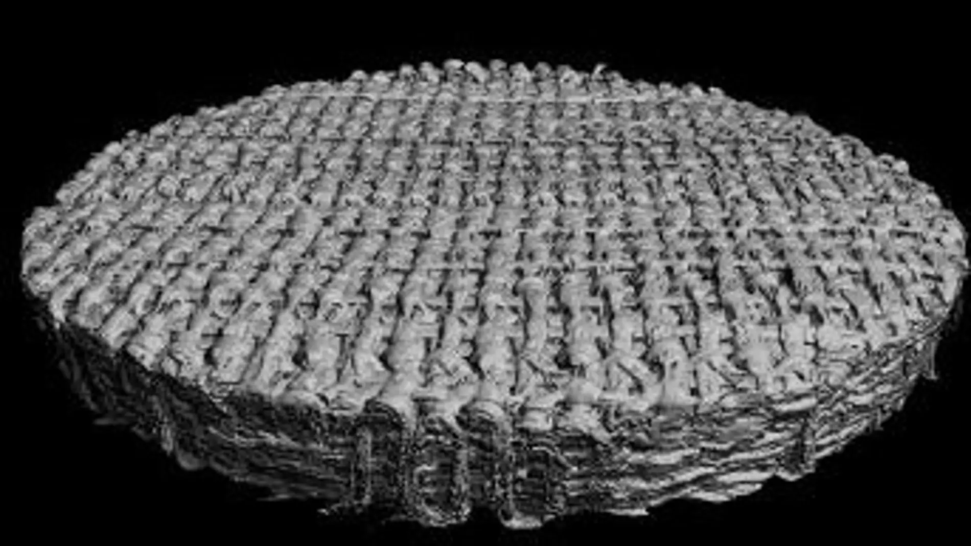 Un nuevo material mejora los implantes de cartilago para la rodilla