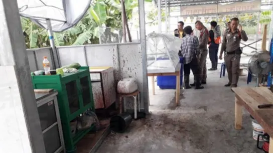 Restaurante tailandés donde se ha encontrado un cadáver Restaurante tailandés donde se ha encontrado un cadáver