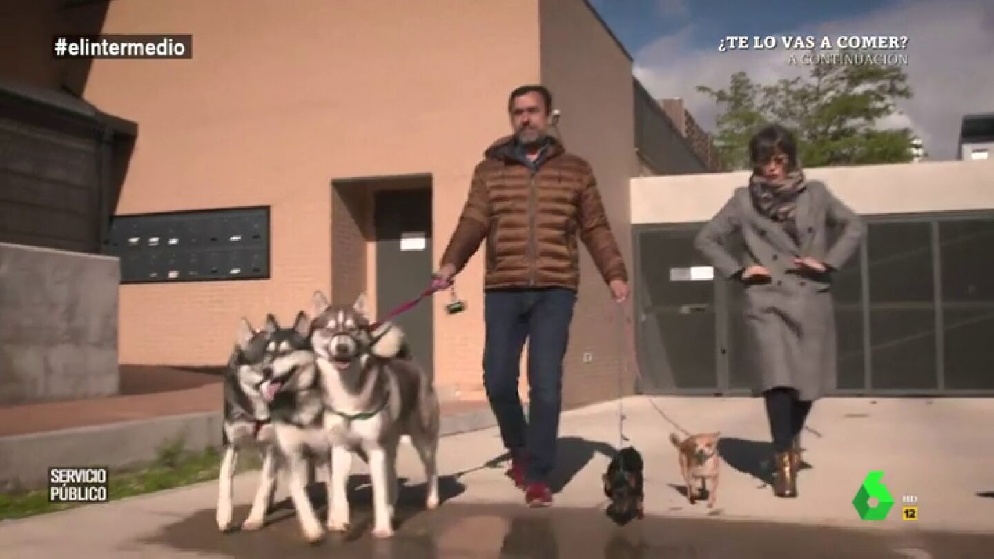 De la llamada de Rajoy a recoger cacas de perro: as&iacute; fue el 'Servicio P&uacute;blico' de Ma&iacute;llo al ritmo de Clavelitos