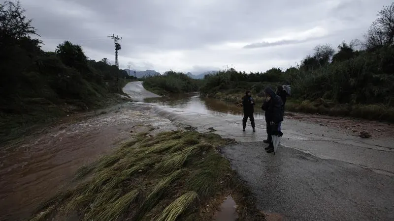 Zona de Marxuquera del término de Palma de Gandía afectada por la lluvia