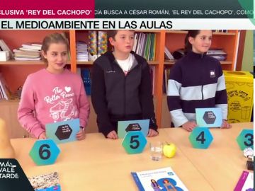 El medioambiente en las aulas: así es el proyecto que introduce la naturaleza en todas las asignaturas escolares El medioambiente en las aulas: así es el proyecto que introduce la naturaleza en todas las asignaturas escolares