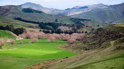 Nueva Zelanda Nueva Zelanda