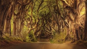 Irlanda