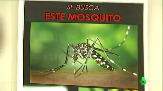Alarmante consecuencia del cambio climático: enfermedades tropicales comenzarán a ser comunes en España Alarmante consecuencia del cambio climático: enfermedades tropicales comenzarán a ser comunes en España