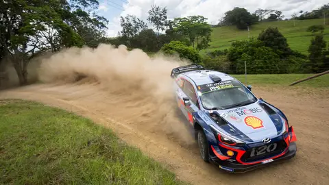 Thierry Neuville ha sufrido abriendo pista dos etapas y solo es octavo Thierry Neuville ha sufrido abriendo pista dos etapas y solo es octavo