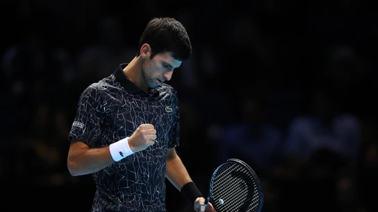 Novak Djokovic levanta el puño para celebrar su victoria Novak Djokovic levanta el puño para celebrar su victoria