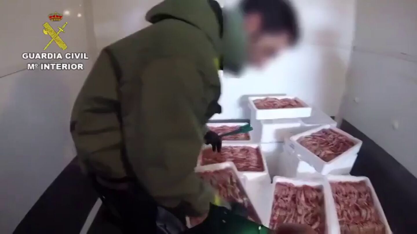 Inmovilizan 153,5 toneladas de cigalas valoradas en 4,5 millones de euros por no tener todas las garant&iacute;as sanitarias
