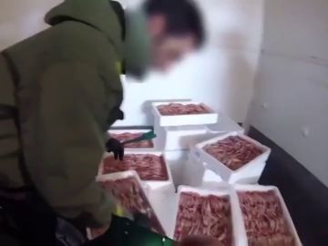 Inmovilizan 153,5 toneladas de cigalas valoradas en 4,5 millones de euros por no tener todas las garantías sanitarias Inmovilizan 153,5 toneladas de cigalas valoradas en 4,5 millones de euros por no tener todas las garantías sanitarias