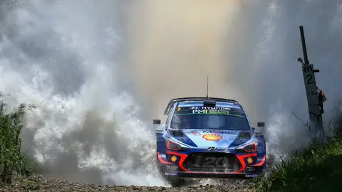 Thierry Neuville fue favorito pero finalmente consiguió su cuarto subcampeonato A