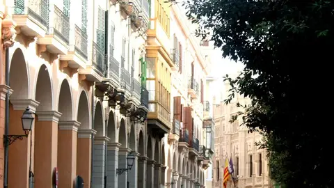 Palma Palma