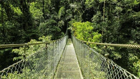 Diversión y aventura en las alturas
