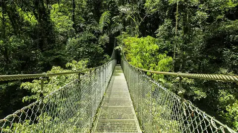 Puentes Colgantes Tour Diversión y aventura en las alturas