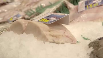 El peligro del fraude el pez mantequilla: un nombre atractivo para un pescado prohibido en Japón 