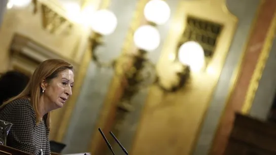La presidenta del Congrso de los Diputados, Ana Pastor La presidenta del Congrso de los Diputados, Ana Pastor