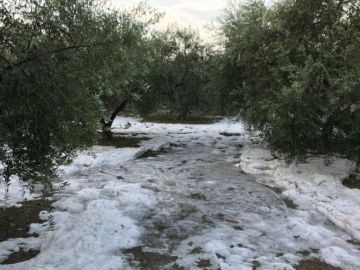 Intensa granizada en el municipio de Els Pallaresos Intensa granizada en el municipio de Els Pallaresos