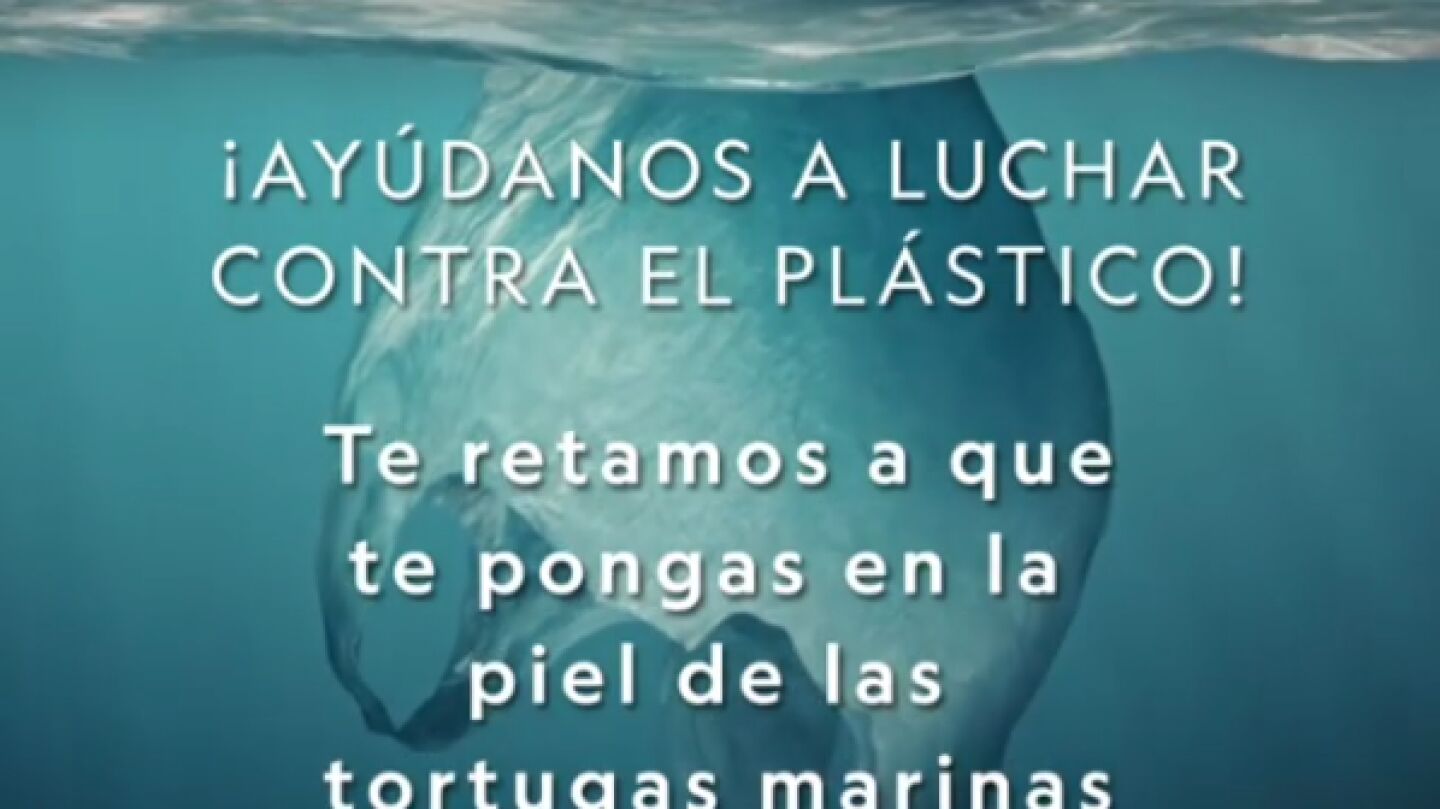 Planeta o pl&aacute;stico: la campa&ntilde;a en redes sociales que conciencia del peligro de la contaminaci&oacute;n en los mares