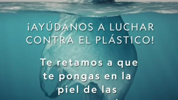 Planeta o plástico: la campaña en redes sociales que conciencia del peligro de la contaminación en los mares