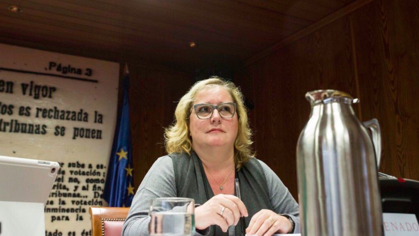 Celia C&aacute;novas, senadora de Podem