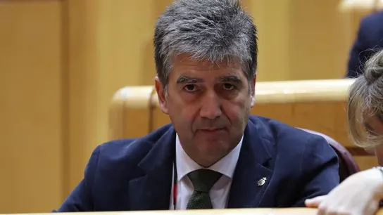 El portavoz del Grupo Popular en el Senado, Ignacio Cosidó El portavoz del Grupo Popular en el Senado, Ignacio Cosidó