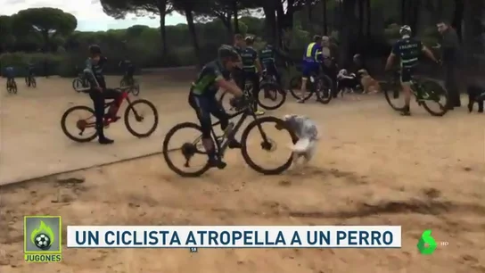 Un ciclista atropella a un perro en plena discusión con unos peatones en Chiclana Un ciclista atropella a un perro en plena discusión con unos peatones en Chiclana