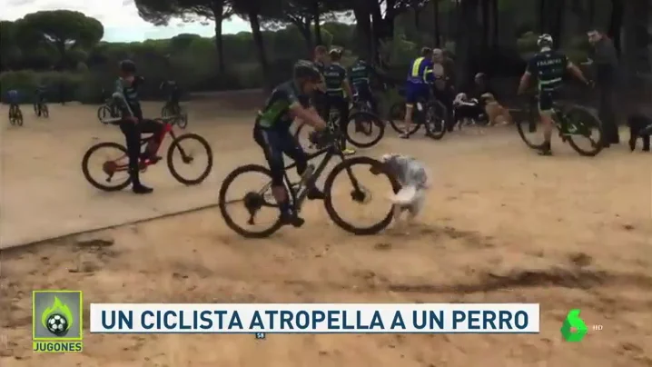 Un ciclista atropella a un perro en plena discusión con unos peatones en Chiclana