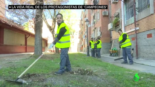 campeones campeones