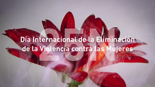 Día Internacional de la Eliminación de la Violencia contra la Mujer 25N