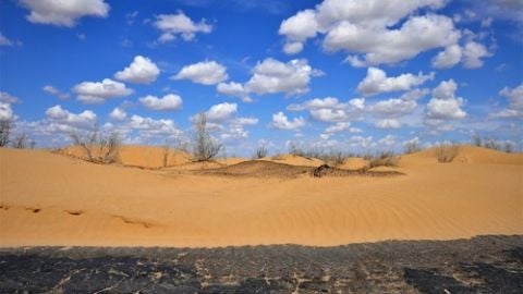 Desierto
