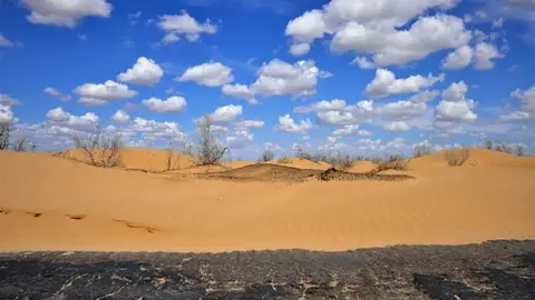 Desierto Desierto