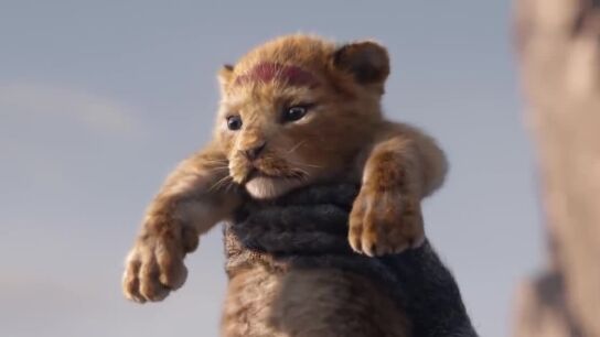 Pel&iacute;cula El rey Le&oacute;n