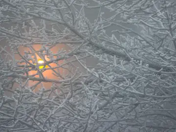 Luz de invierno (22-11-2018) Luz de invierno (22-11-2018)