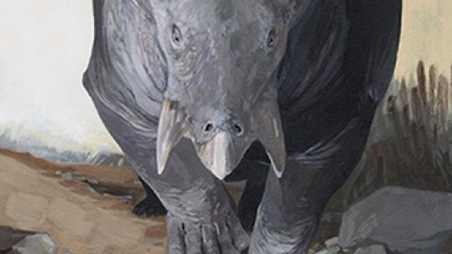 Hallan f&oacute;siles de un animal gigante que habitaba en Europa hace 250 millones de a&ntilde;os