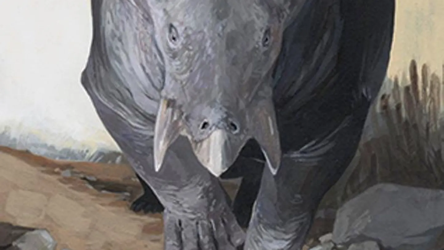 Hallan fósiles de un animal gigante que habitaba en Europa hace 250 millones de años Hallan fósiles de un animal gigante que habitaba en Europa hace 250 millones de años