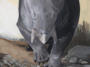 Hallan fósiles de un animal gigante que habitaba en Europa hace 250 millones de años Hallan fósiles de un animal gigante que habitaba en Europa hace 250 millones de años