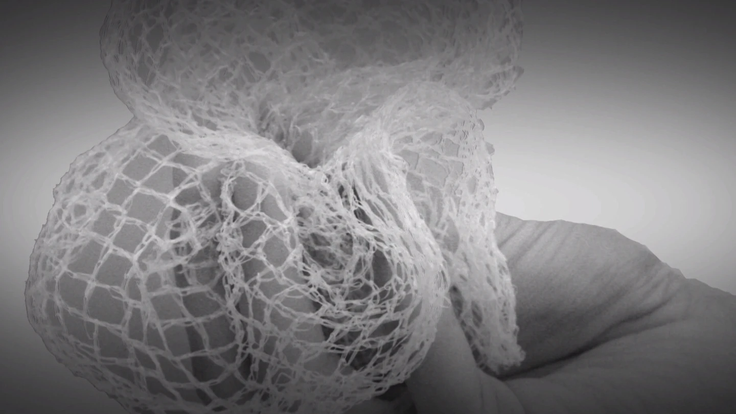 Fotograma del documental 'All meshed up' Fotograma del documental 'All meshed up'