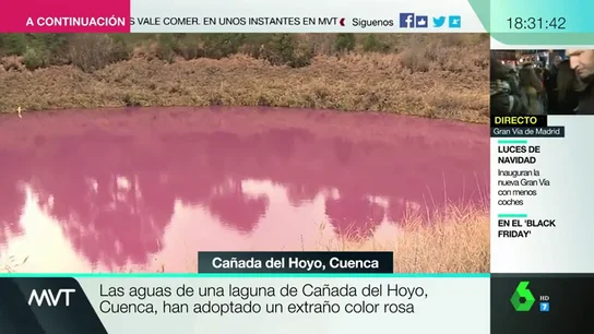 Un otoño entre colores vivos: una laguna de Cañada del Hoyo amanece de color rosa, y te explicamos por qué Un otoño entre colores vivos: una laguna de Cañada del Hoyo amanece de color rosa, y te explicamos por qué