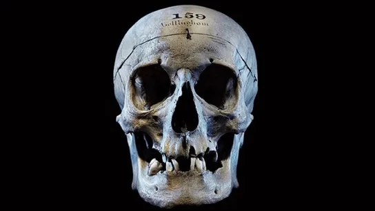 Calavera de John Bellingham Calavera de John Bellingham