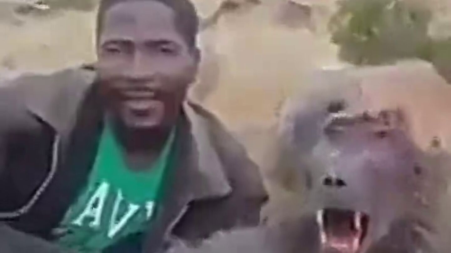 El indignante v&iacute;deo que muestra c&oacute;mo un cazador se burla de un babuino que est&aacute; agonizando