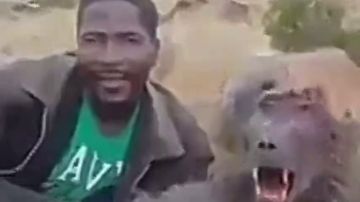 El indignante vídeo que muestra cómo un cazador se burla de un babuino que está agonizando