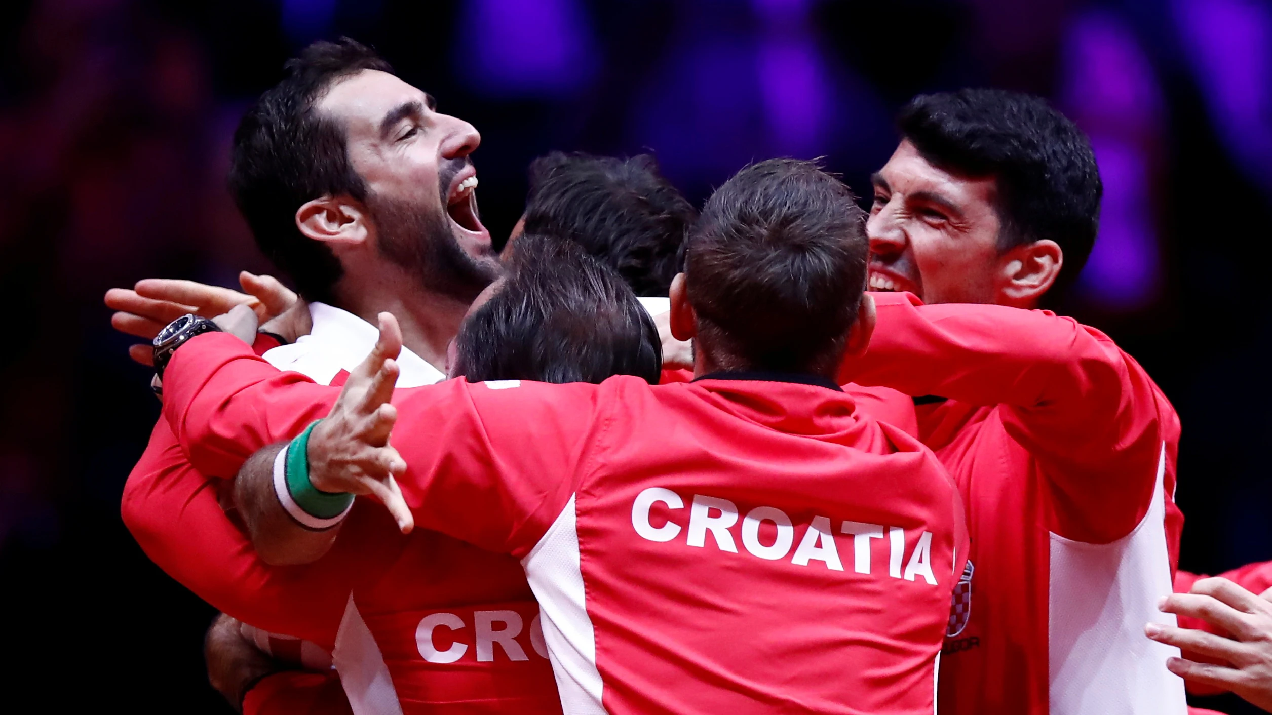 La selección de Croacia celebra con Cilic su victoria ante Pouille