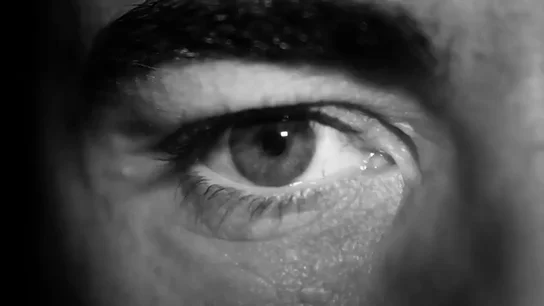 El vídeo-homenaje de Fernando Alonso en su última carrera en F1: "Soy un piloto" El vídeo-homenaje de Fernando Alonso en su última carrera en F1: "Soy un piloto"