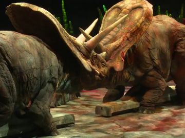 Los dinosaurios más sorprendentes 'invaden' Madrid tras un viaje de 65 millones de años y miles de kilómetros Los dinosaurios más sorprendentes 'invaden' Madrid tras un viaje de 65 millones de años y miles de kilómetros