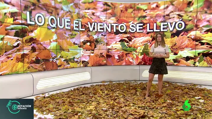 Hojas en el plató de Estación laSexta