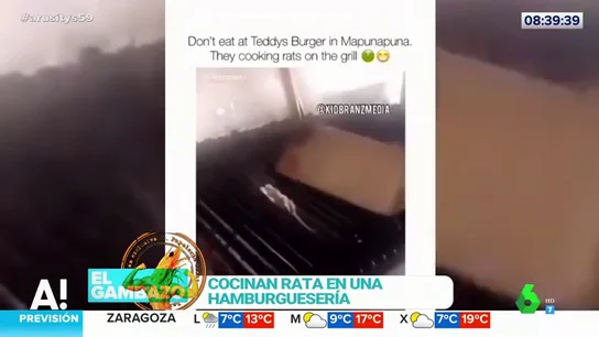 Dos empleados cocinan rata en un restaurante Dos empleados cocinan rata en un restaurante