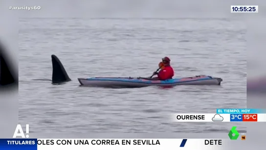 Una orca sorprende en mitad del mar a un hombre que sale a pasear en su kayak Una orca sorprende en mitad del mar a un hombre que sale a pasear en su kayak