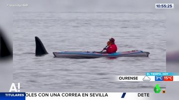 Una orca sorprende en mitad del mar a un hombre que sale a pasear en su kayak 
